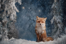 Winter Forest Digital Backdrop, Woodland Creatures, Red Fox Photo Background, Holiday Kids Prop, Winter Wonderland, Photoshop/Canva Template