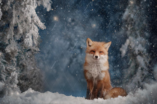 Winter Forest Digital Backdrop, Woodland Creatures, Red Fox Photo Background, Holiday Kids Prop, Winter Wonderland, Photoshop/Canva Template