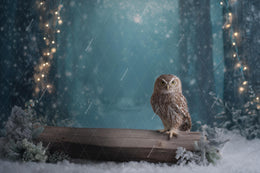 Winter Fantasy Forest Digital Backdrop, Woodland Creatures Photo Background, Christmas Holiday Kids Prop, Wise Owl, Photoshop/Canva Template
