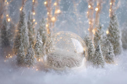 Christmas Glass Globe Digital Backdrop, Holiday Newborn Photo Background, Woodland Baby Prop, Winter Wonderland, Photoshop & Canva Template
