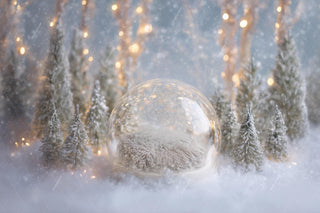 Christmas Glass Globe Digital Backdrop, Holiday Newborn Photo Background, Woodland Baby Prop, Winter Wonderland, Photoshop & Canva Template