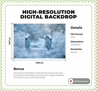 Winter Wildflower Meadow Bridge Digital Backdrop, Frozen Photo Background, Holiday Kids Prop, Photoshop & Canva Template, Photo Editing