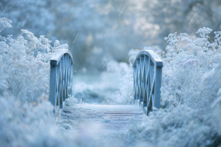 Winter Wildflower Meadow Bridge Digital Backdrop, Frozen Photo Background, Holiday Kids Prop, Photoshop & Canva Template, Photo Editing