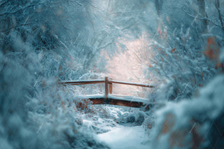 Winter Forest Bridge Digital Backdrop, Nature Photography Photo Background, Christmas Holiday Kids Prop, Winter Wonderland, Canva Template