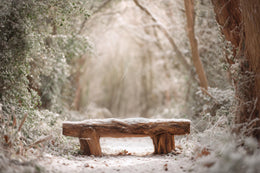 Winter Forest Digital Backdrop, Wooden Bench, Nature Photography Photo Background, Christmas Holiday Kids Prop, Photoshop & Canva Template