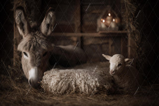 Christmas Nativity Baby Digital Backdrop, Wooden Barn Photo Background, Farm Newborn Prop, Photoshop & Canva Template, Photo Editing