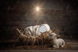 Nativity Christmas Baby Digital Backdrop, Face Swap Overlay, Christmas Animals, Lamb, Newborn Photo Background, Photoshop & Canva Template