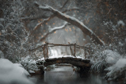 Winter Forest Bridge Digital Backdrop, Nature Photography Background, Christmas Holiday Prop, Photoshop & Canva Template, Photo Editing