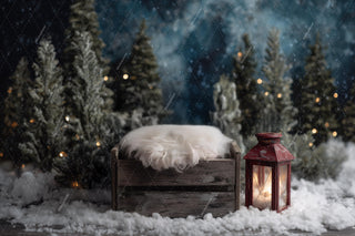 Winter Wonderland Newborn Digital Backdrop, Christmas Baby Photo Background, Forest Holiday Prop, Photoshop & Canva Template, Photo Editing