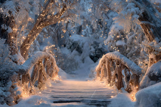 Winter Fantasy Forest Bridge Digital Backdrop, Christmas Lights, Holiday Photo Background, Winter Wonderland Kids Prop, Canva Template