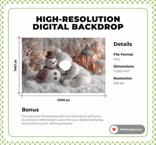 Christmas Baby Face Swap Overlay, Christmas Snowman Studio Digital Backdrop, Winter Wonderland Photo Background, Holiday Newborn Prop