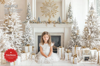 christmas scene with fireplace and winter backdrop, ideal for holiday portraits