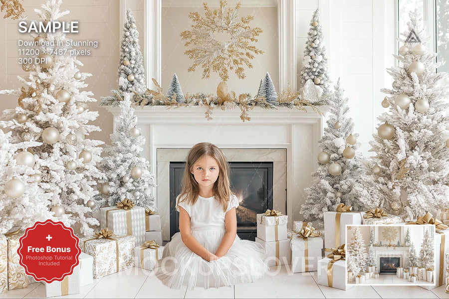 christmas scene with fireplace and winter backdrop, ideal for holiday portraits