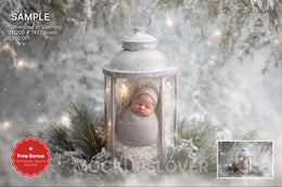 scene with christmas lantern and winter backdrop for holiday photography