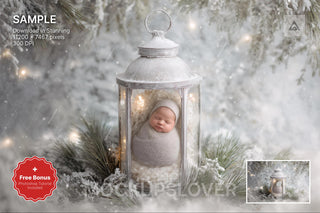 scene with christmas lantern and winter backdrop for holiday photography