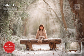 winter forest scene with wooden bench, perfect for holiday photo shoots and nature photography background